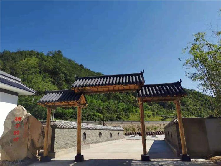 果園風(fēng)光